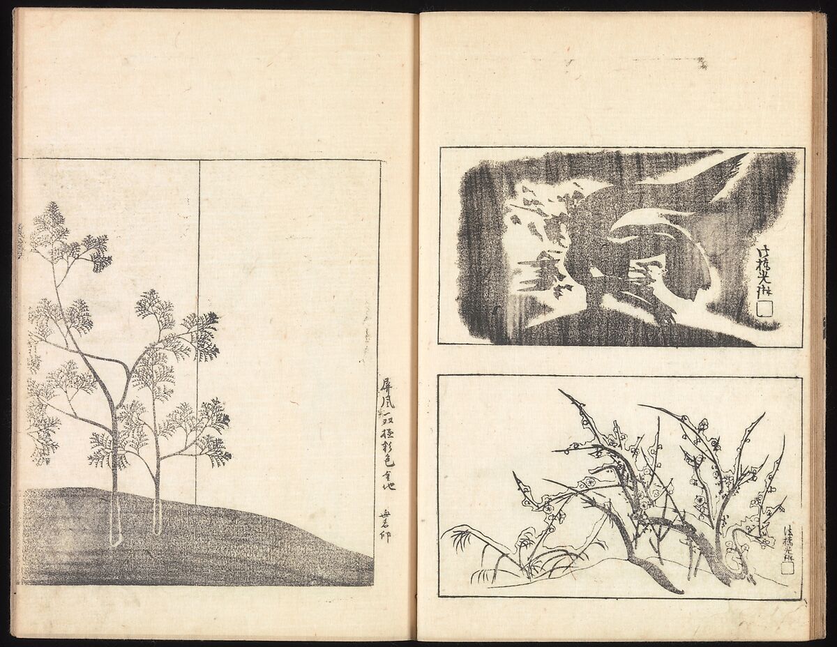 One Hundred Paintings by Kōrin (Kōrin hyakuzu), Sakai Hōitsu (Japanese, 1761–1828), Four volumes of woodblock printed books; ink on paper, Japan
