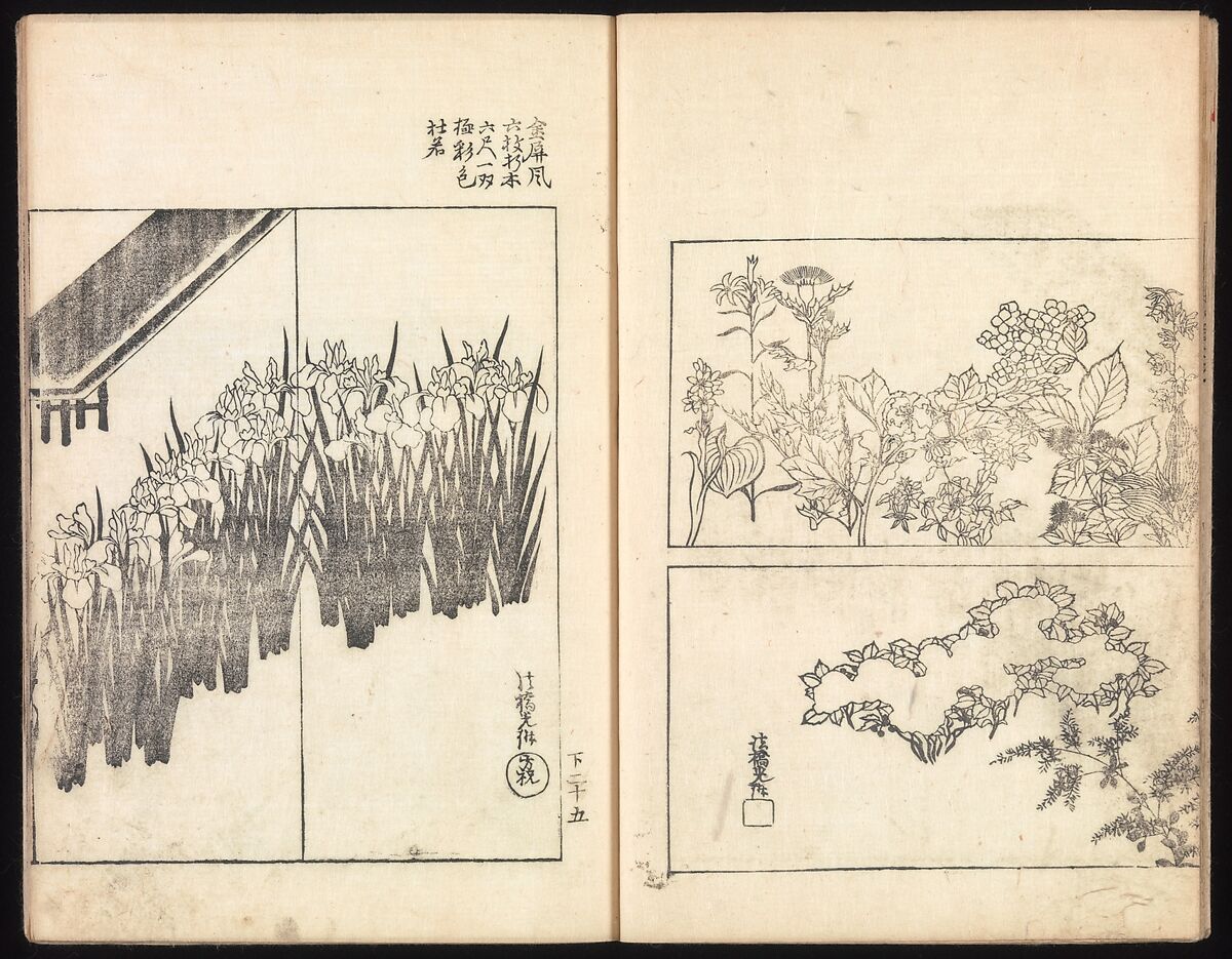 One Hundred Paintings by Kōrin (Kōrin hyakuzu), Sakai Hōitsu (Japanese, 1761–1828), Four volumes of woodblock printed books; ink on paper, Japan
