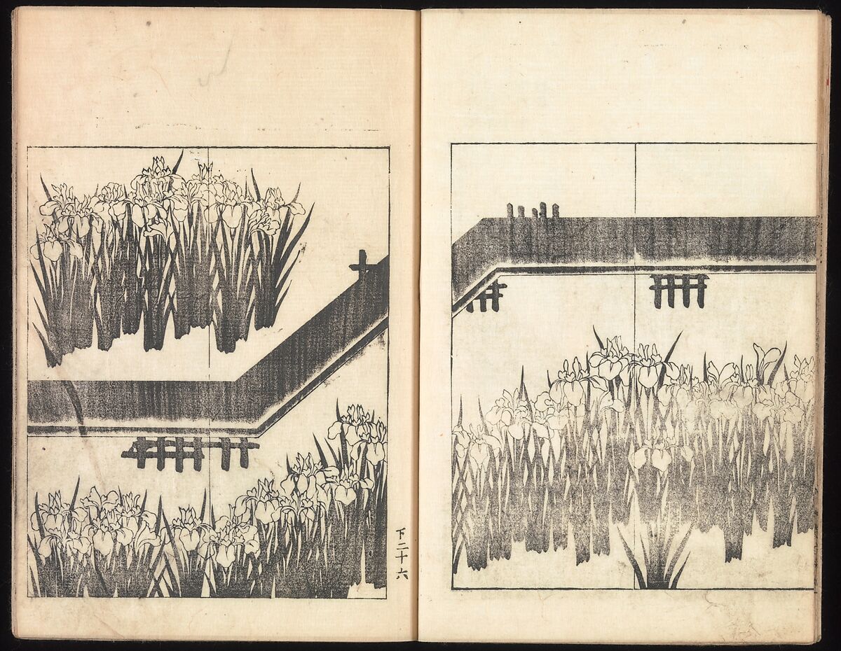 One Hundred Paintings by Kōrin (Kōrin hyakuzu), Sakai Hōitsu (Japanese, 1761–1828), Four volumes of woodblock printed books; ink on paper, Japan