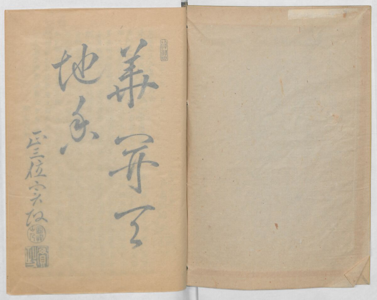 Examples of the Flower Arrangement (Meiji shinsen risshō senkashiki)  明治新撰千花式, Yagi Unkei 八木雲渓, Ink on paper, Japan