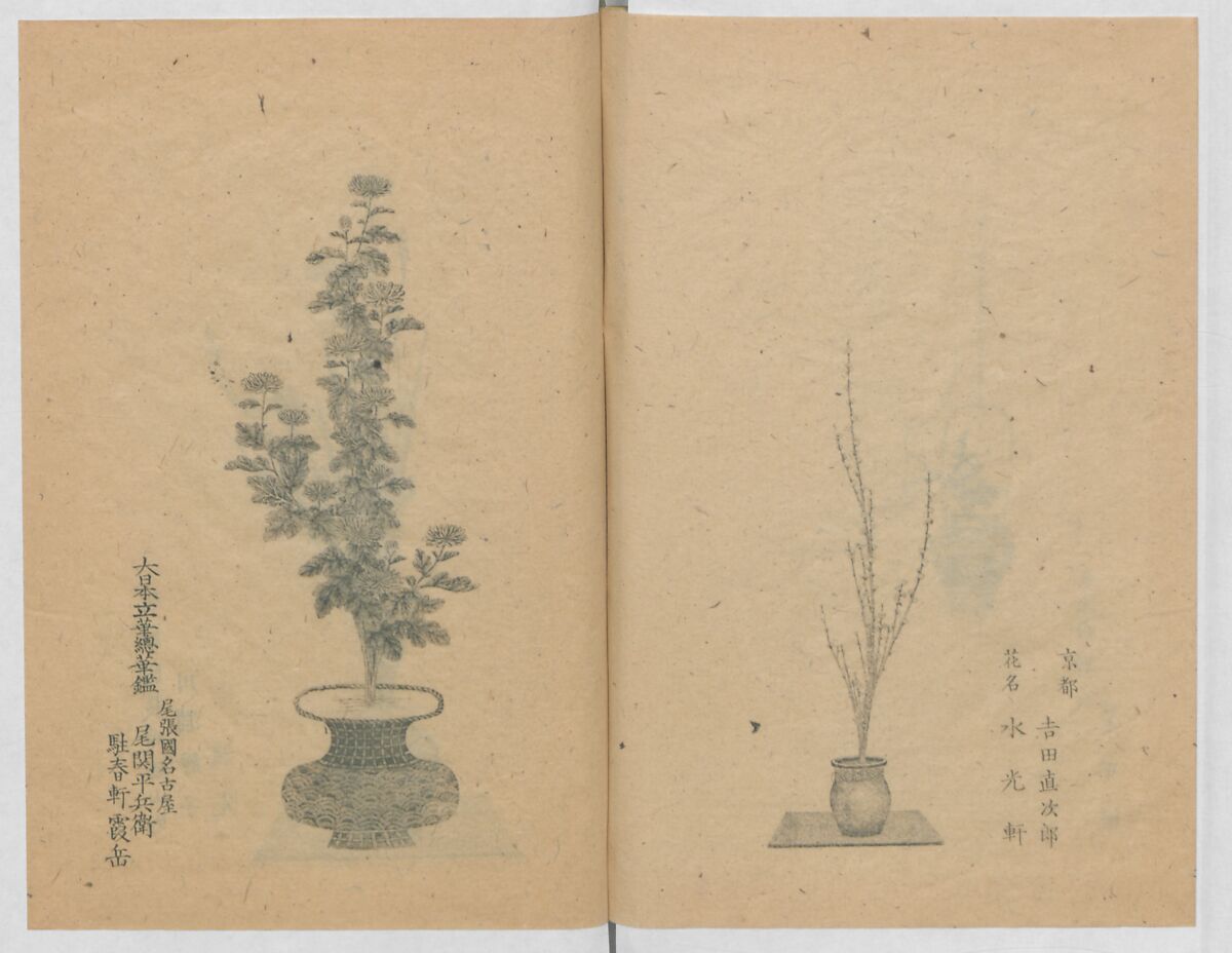 Examples of the Flower Arrangement (Meiji shinsen risshō senkashiki)  明治新撰千花式, Yagi Unkei 八木雲渓, Ink on paper, Japan