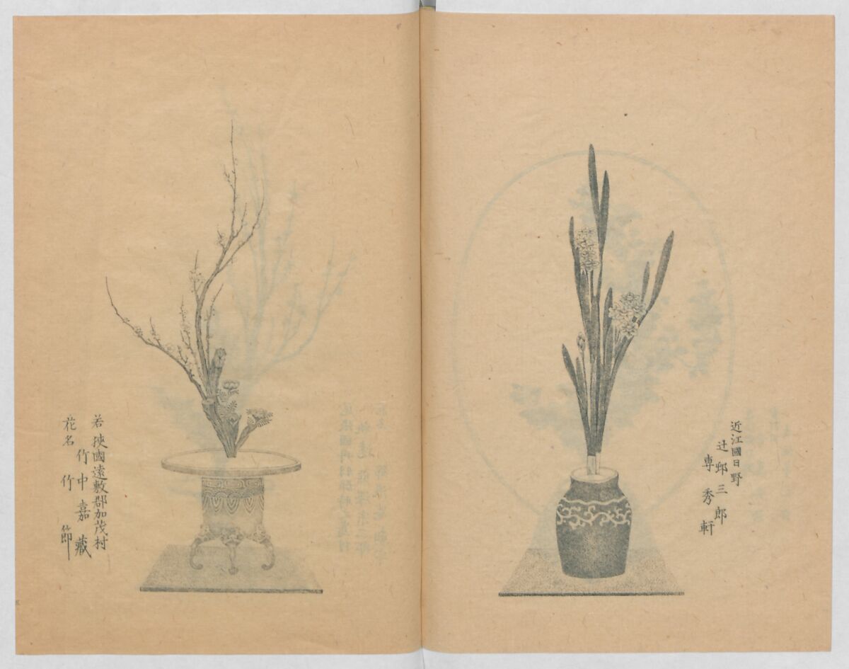 Examples of the Flower Arrangement (Meiji shinsen risshō senkashiki)  明治新撰千花式, Yagi Unkei 八木雲渓, Ink on paper, Japan