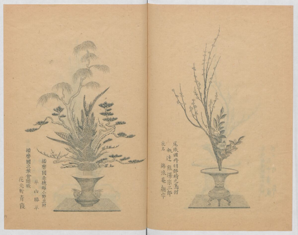Examples of the Flower Arrangement (Meiji shinsen risshō senkashiki)  明治新撰千花式, Yagi Unkei 八木雲渓, Ink on paper, Japan