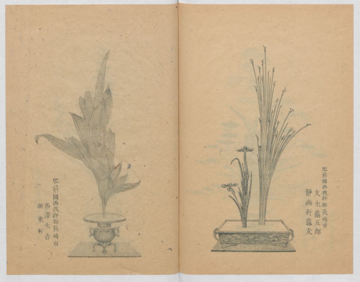 Examples of the Flower Arrangement (Meiji shinsen risshō senkashiki)  明治新撰千花式, Yagi Unkei 八木雲渓, Ink on paper, Japan
