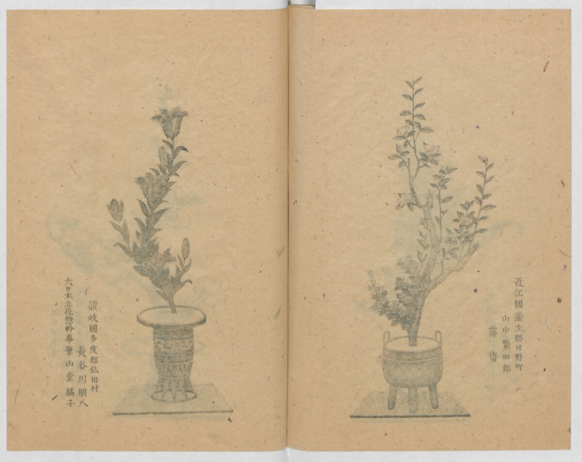 Examples of the Flower Arrangement (Meiji shinsen risshō senkashiki)  明治新撰千花式, Yagi Unkei 八木雲渓, Ink on paper, Japan