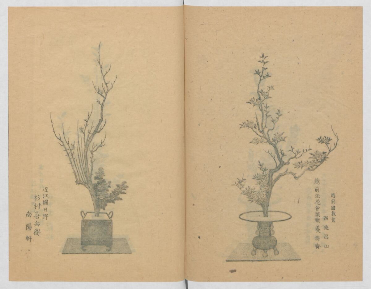 Examples of the Flower Arrangement (Meiji shinsen risshō senkashiki)  明治新撰千花式, Yagi Unkei 八木雲渓, Ink on paper, Japan