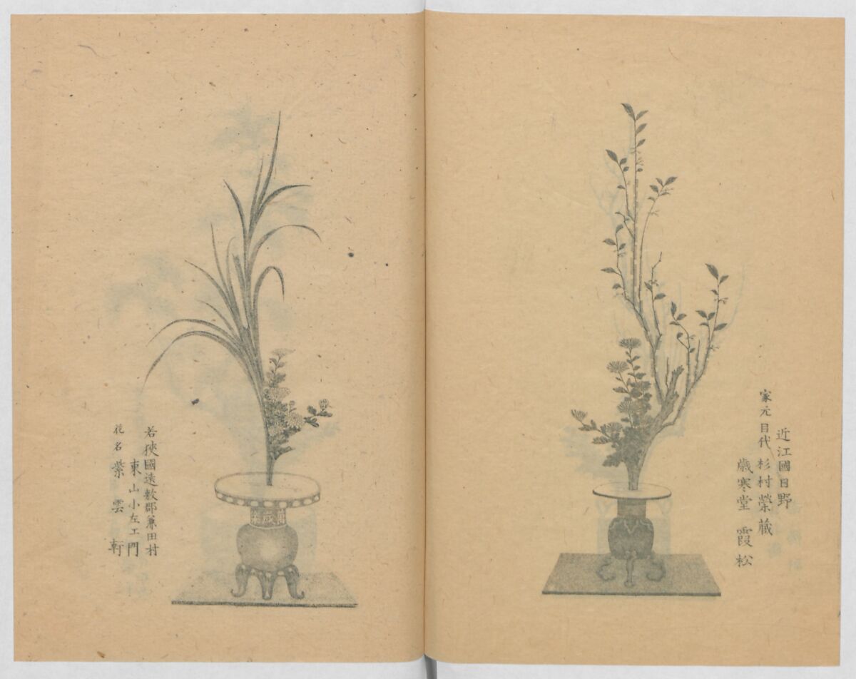 Examples of the Flower Arrangement (Meiji shinsen risshō senkashiki)  明治新撰千花式, Yagi Unkei 八木雲渓, Ink on paper, Japan