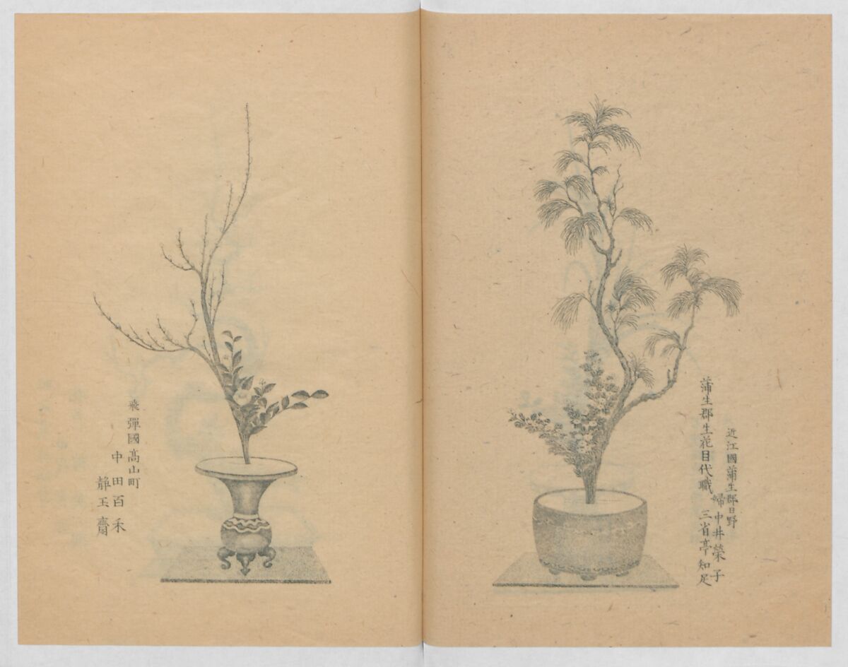 Examples of the Flower Arrangement (Meiji shinsen risshō senkashiki)  明治新撰千花式, Yagi Unkei 八木雲渓, Ink on paper, Japan
