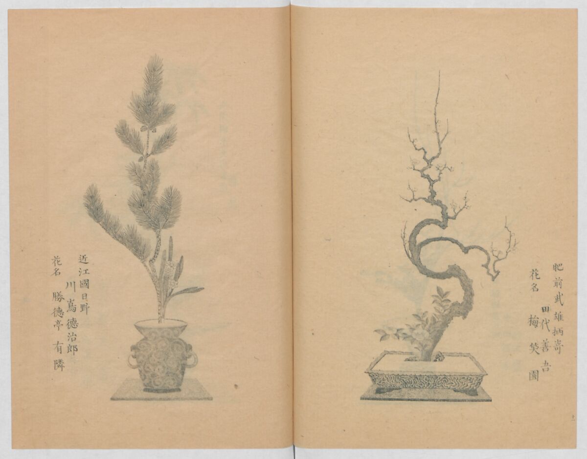 Examples of the Flower Arrangement (Meiji shinsen risshō senkashiki)  明治新撰千花式, Yagi Unkei 八木雲渓, Ink on paper, Japan