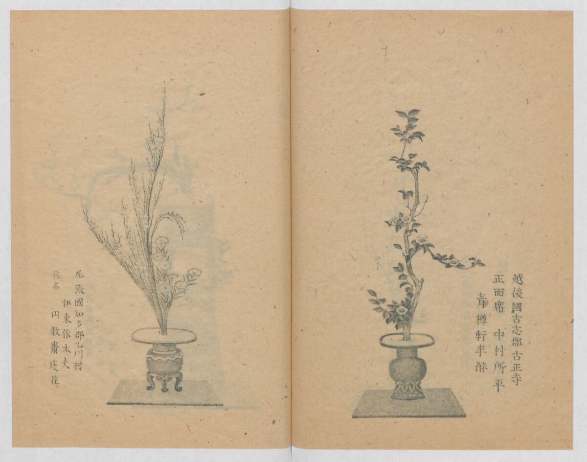 Examples of the Flower Arrangement (Meiji shinsen risshō senkashiki)  明治新撰千花式, Yagi Unkei 八木雲渓, Ink on paper, Japan