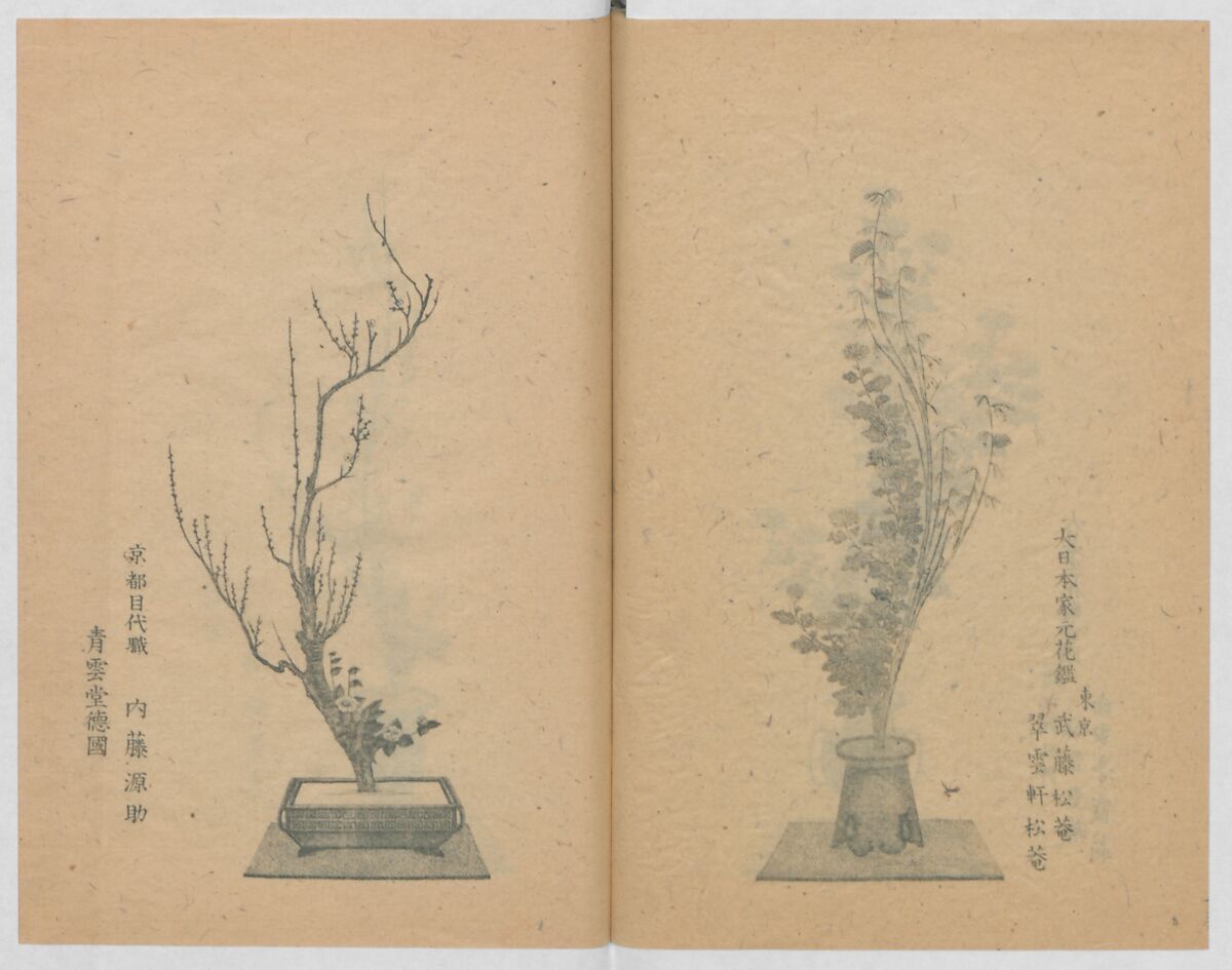 Examples of the Flower Arrangement (Meiji shinsen risshō senkashiki)  明治新撰千花式, Yagi Unkei 八木雲渓, Ink on paper, Japan