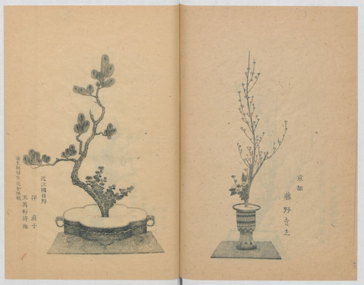 Examples of the Flower Arrangement (Meiji shinsen risshō senkashiki)  明治新撰千花式, Yagi Unkei 八木雲渓, Ink on paper, Japan