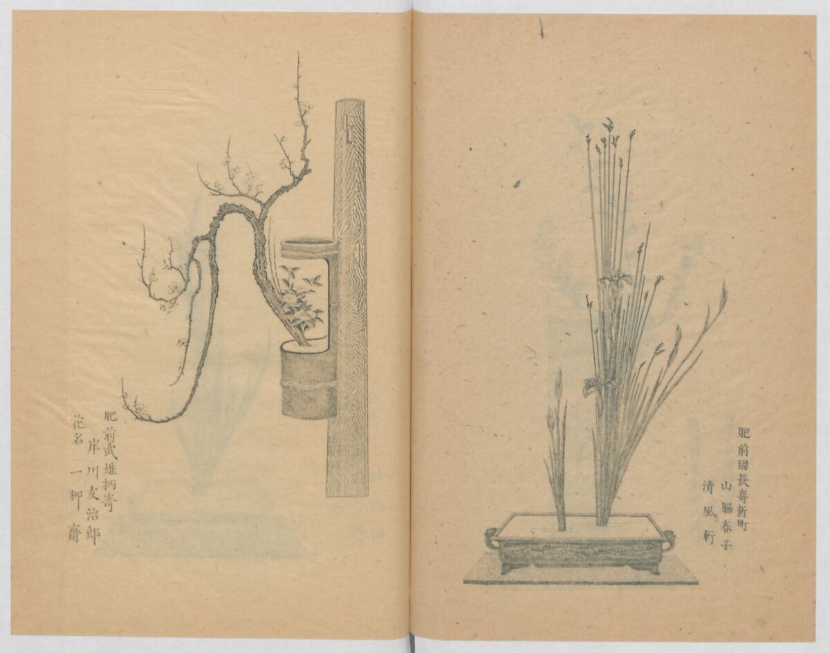 Examples of the Flower Arrangement (Meiji shinsen risshō senkashiki)  明治新撰千花式, Yagi Unkei 八木雲渓, Ink on paper, Japan