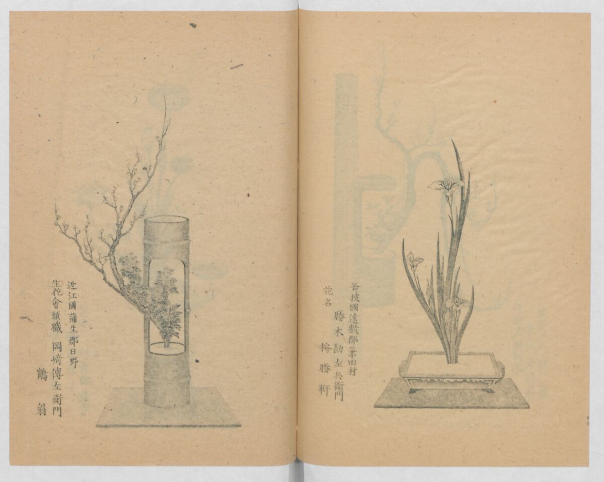 Examples of the Flower Arrangement (Meiji shinsen risshō senkashiki)  明治新撰千花式, Yagi Unkei 八木雲渓, Ink on paper, Japan
