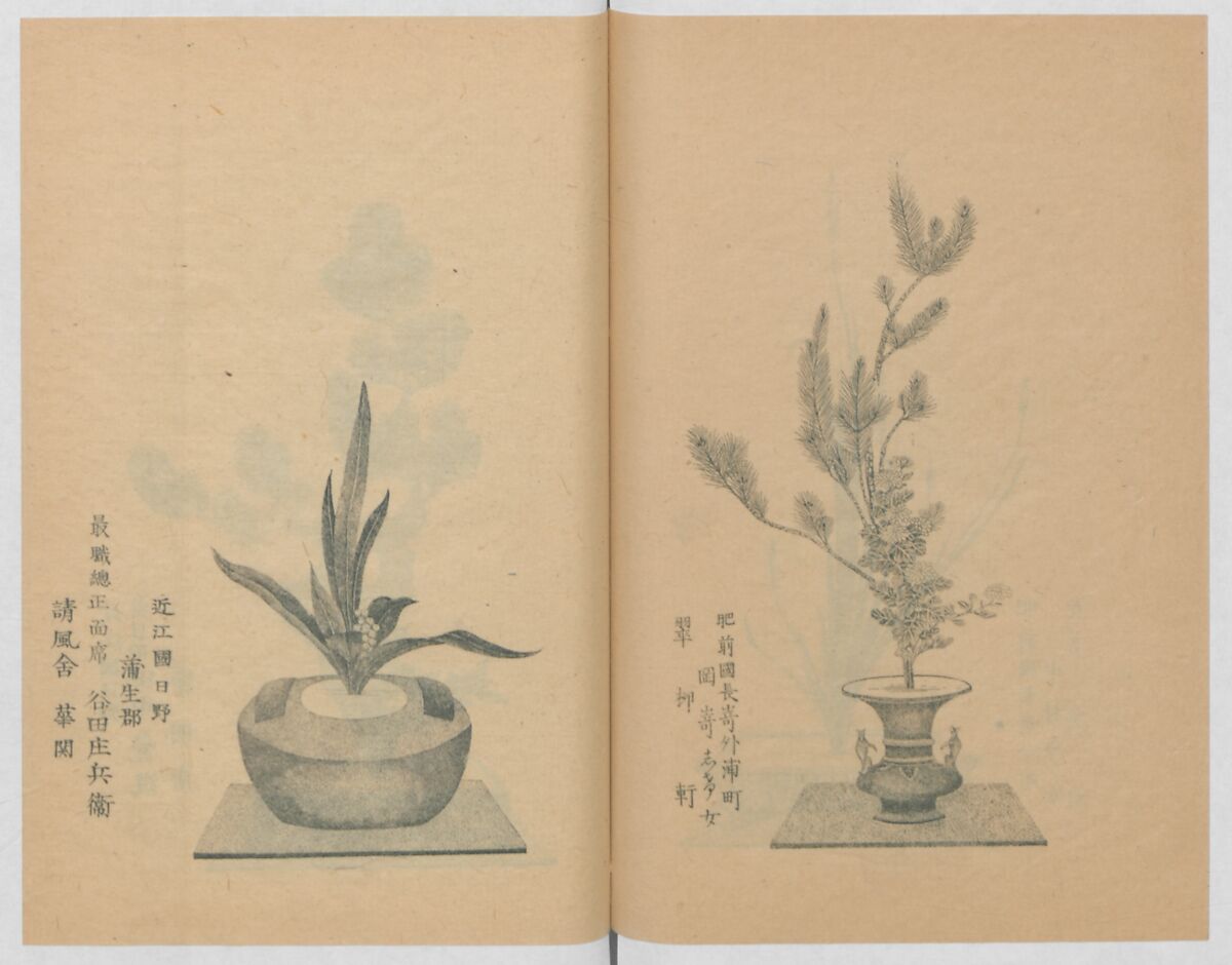 Examples of the Flower Arrangement (Meiji shinsen risshō senkashiki)  明治新撰千花式, Yagi Unkei 八木雲渓, Ink on paper, Japan