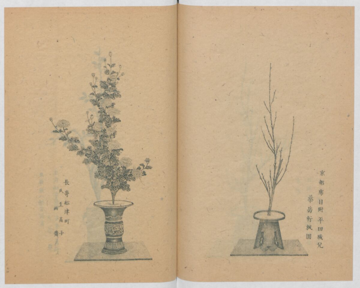 Examples of the Flower Arrangement (Meiji shinsen risshō senkashiki)  明治新撰千花式, Yagi Unkei 八木雲渓, Ink on paper, Japan