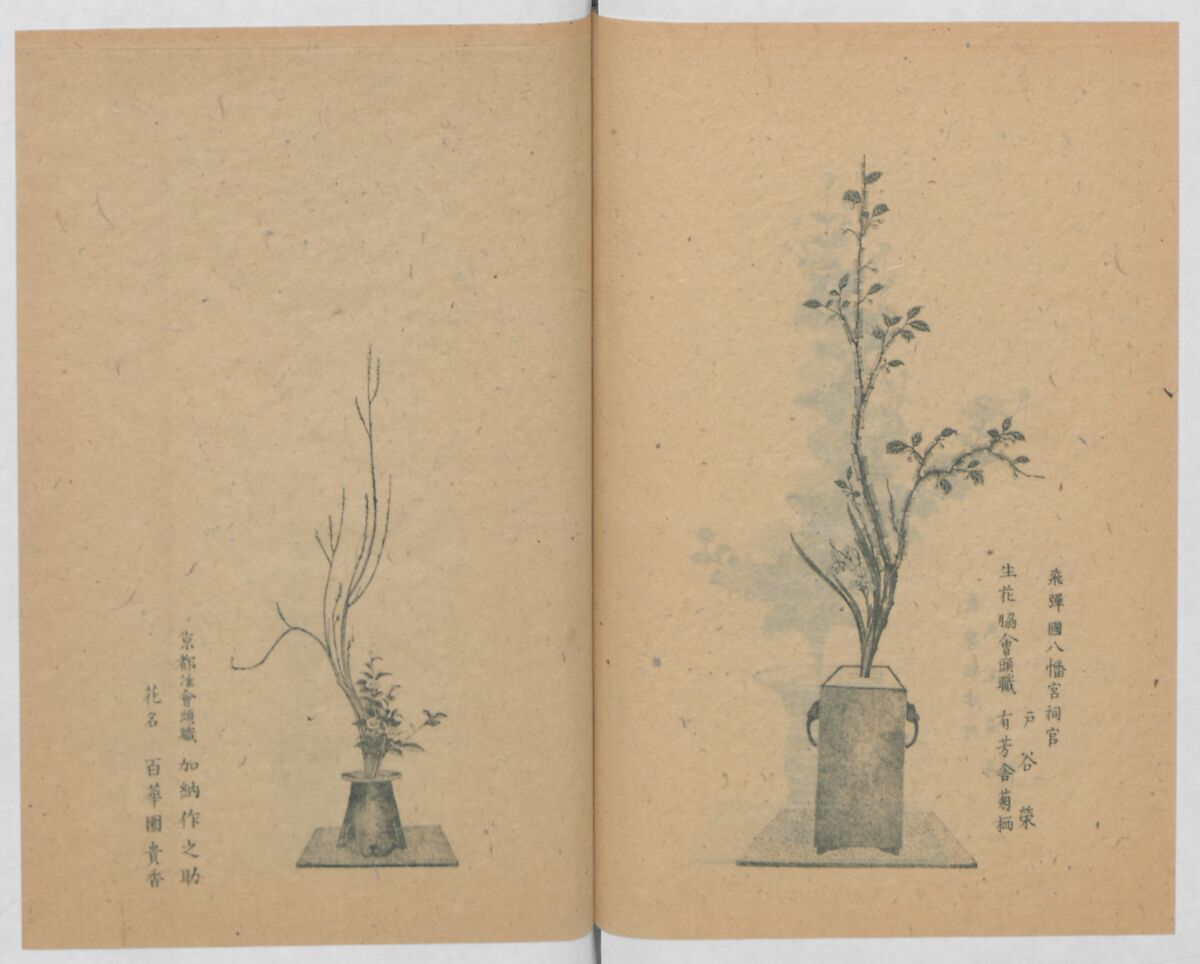 Examples of the Flower Arrangement (Meiji shinsen risshō senkashiki)  明治新撰千花式, Yagi Unkei 八木雲渓, Ink on paper, Japan