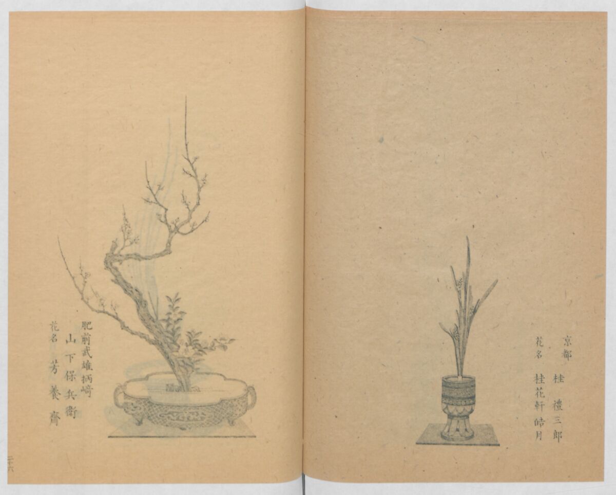 Examples of the Flower Arrangement (Meiji shinsen risshō senkashiki)  明治新撰千花式, Yagi Unkei 八木雲渓, Ink on paper, Japan