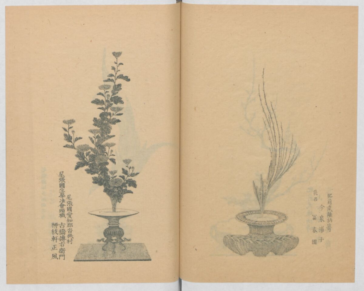 Examples of the Flower Arrangement (Meiji shinsen risshō senkashiki)  明治新撰千花式, Yagi Unkei 八木雲渓, Ink on paper, Japan