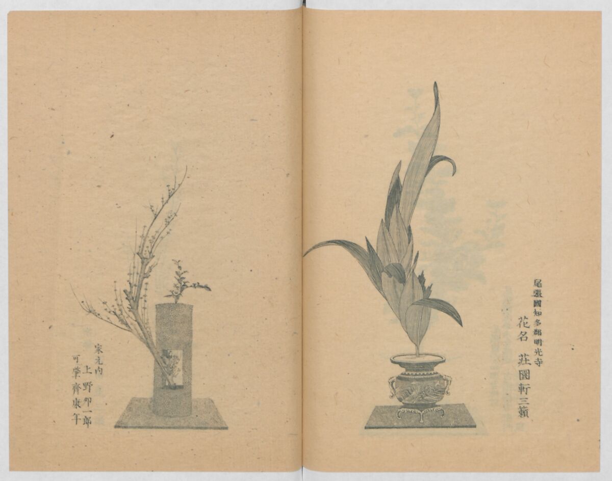 Examples of the Flower Arrangement (Meiji shinsen risshō senkashiki)  明治新撰千花式, Yagi Unkei 八木雲渓, Ink on paper, Japan