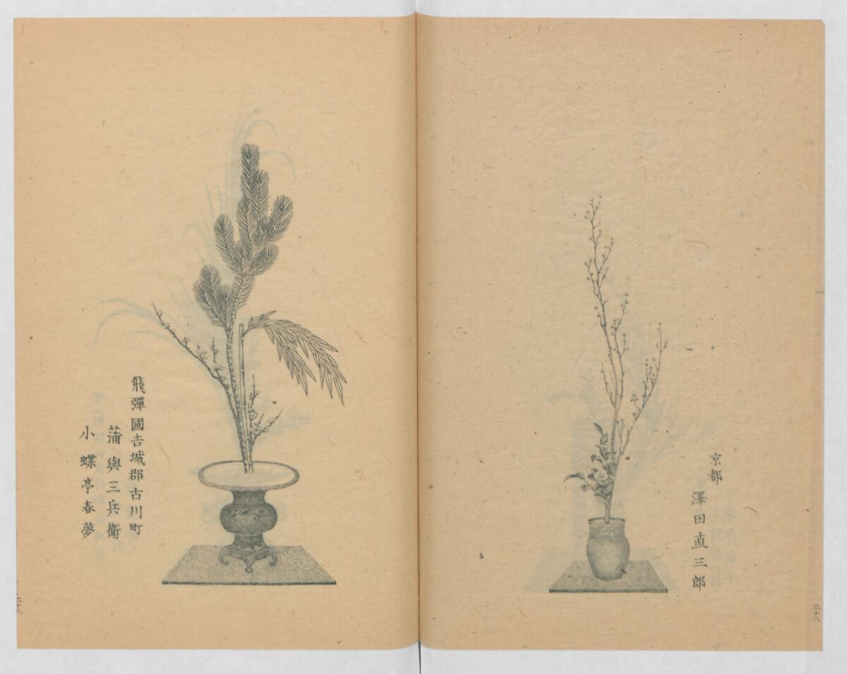 Examples of the Flower Arrangement (Meiji shinsen risshō senkashiki)  明治新撰千花式, Yagi Unkei 八木雲渓, Ink on paper, Japan