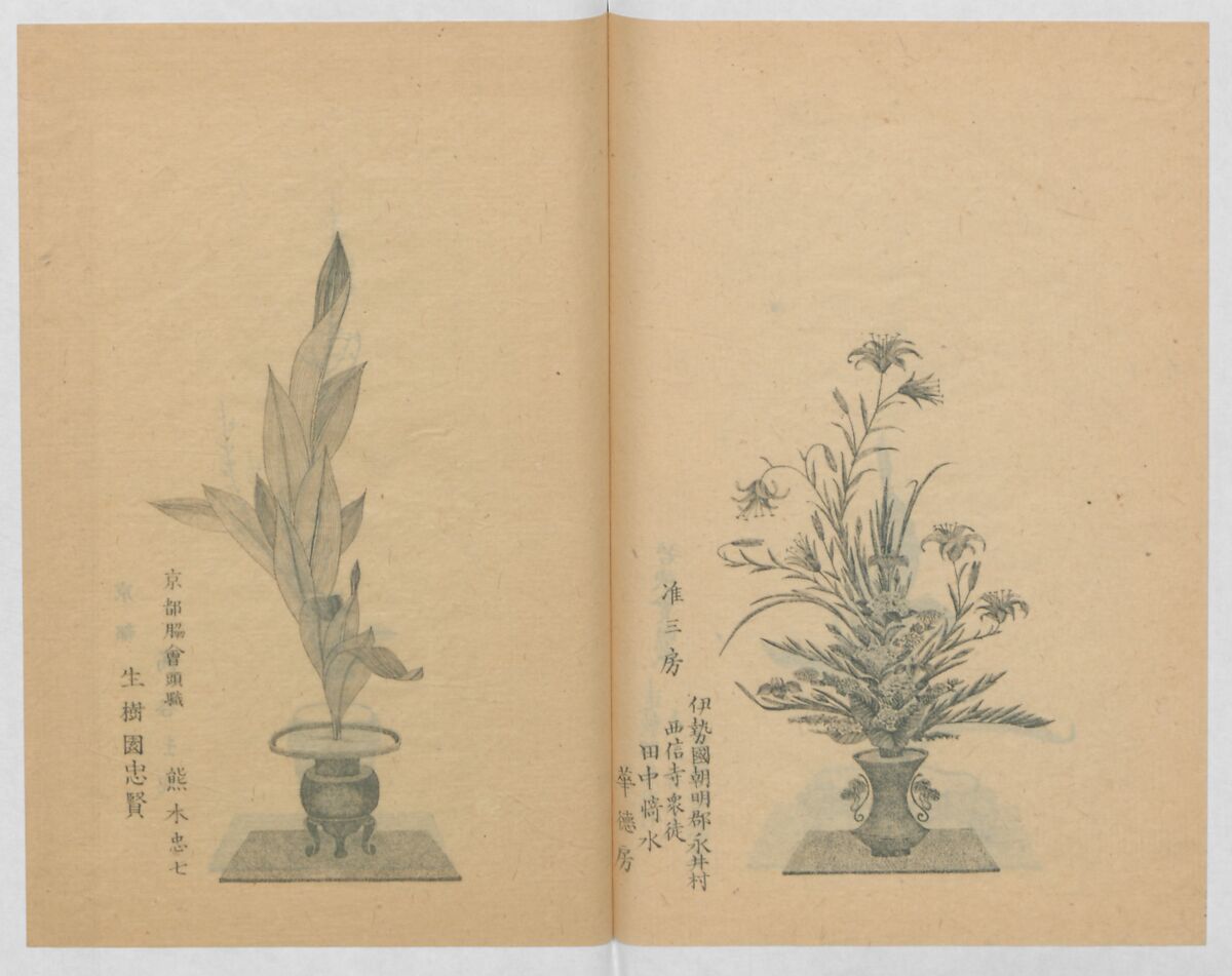 Examples of the Flower Arrangement (Meiji shinsen risshō senkashiki)  明治新撰千花式, Yagi Unkei 八木雲渓, Ink on paper, Japan