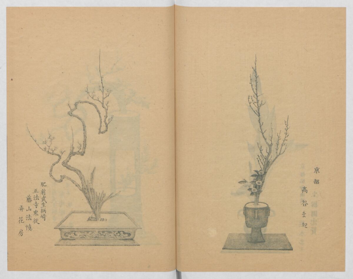 Examples of the Flower Arrangement (Meiji shinsen risshō senkashiki)  明治新撰千花式, Yagi Unkei 八木雲渓, Ink on paper, Japan