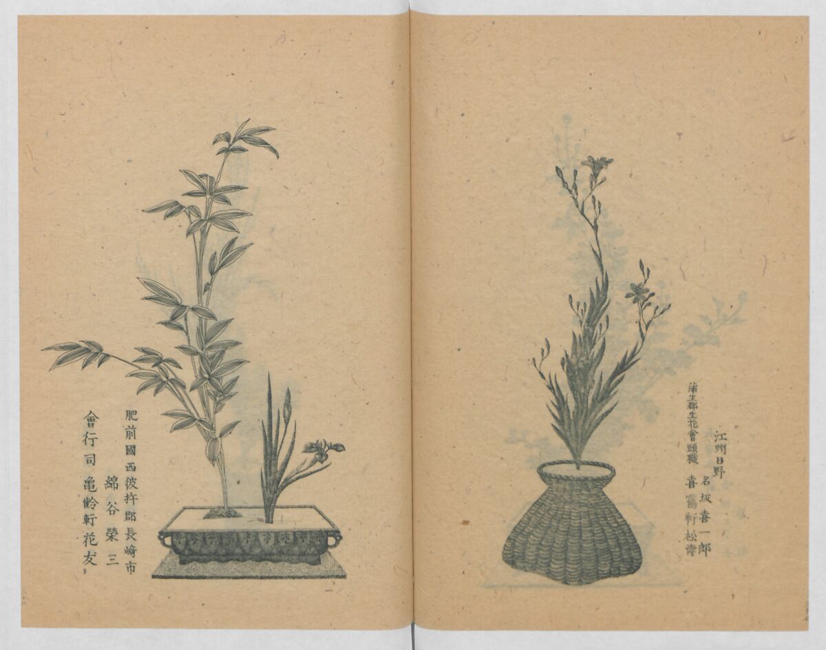 Examples of the Flower Arrangement (Meiji shinsen risshō senkashiki)  明治新撰千花式, Yagi Unkei 八木雲渓, Ink on paper, Japan