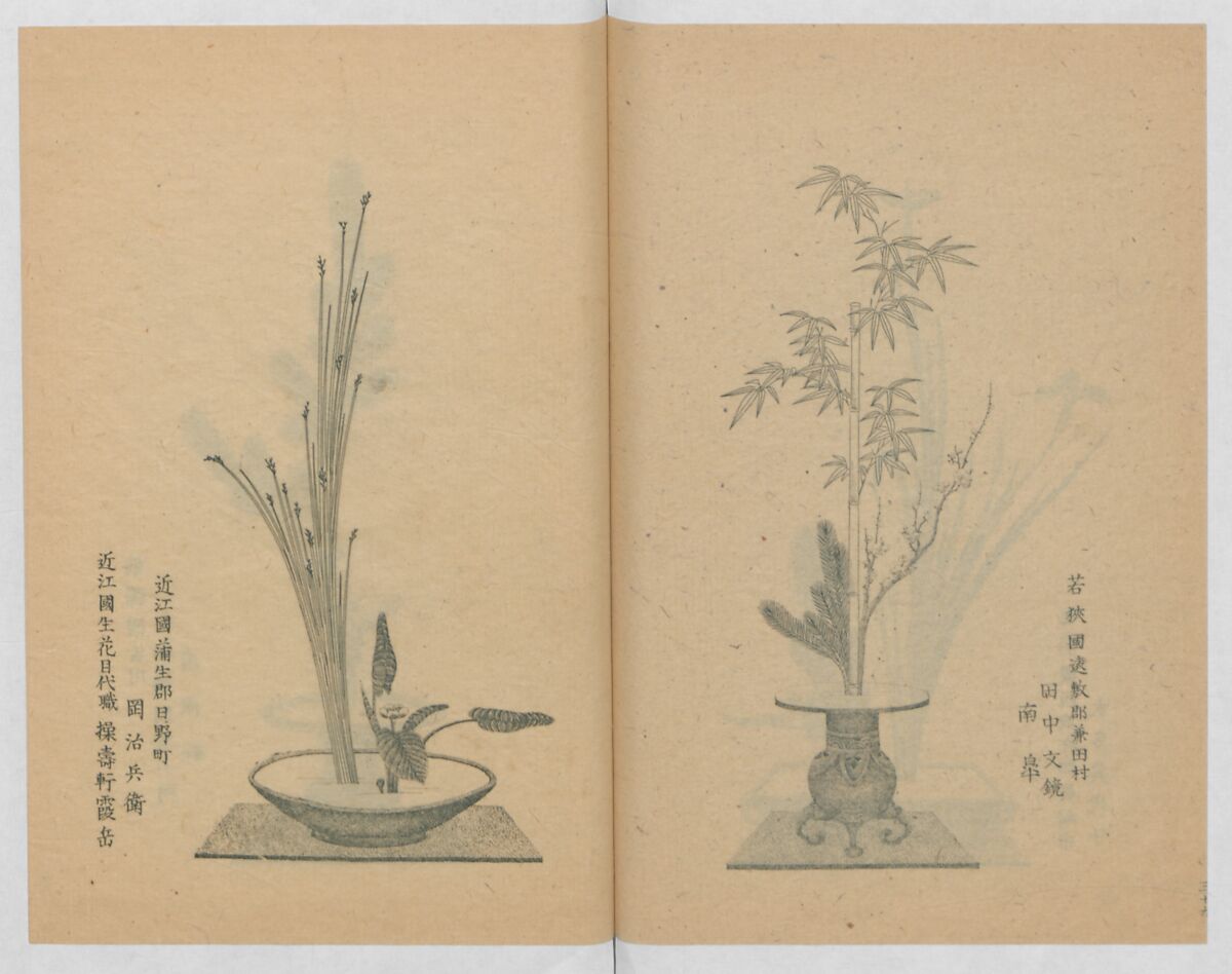 Examples of the Flower Arrangement (Meiji shinsen risshō senkashiki)  明治新撰千花式, Yagi Unkei 八木雲渓, Ink on paper, Japan