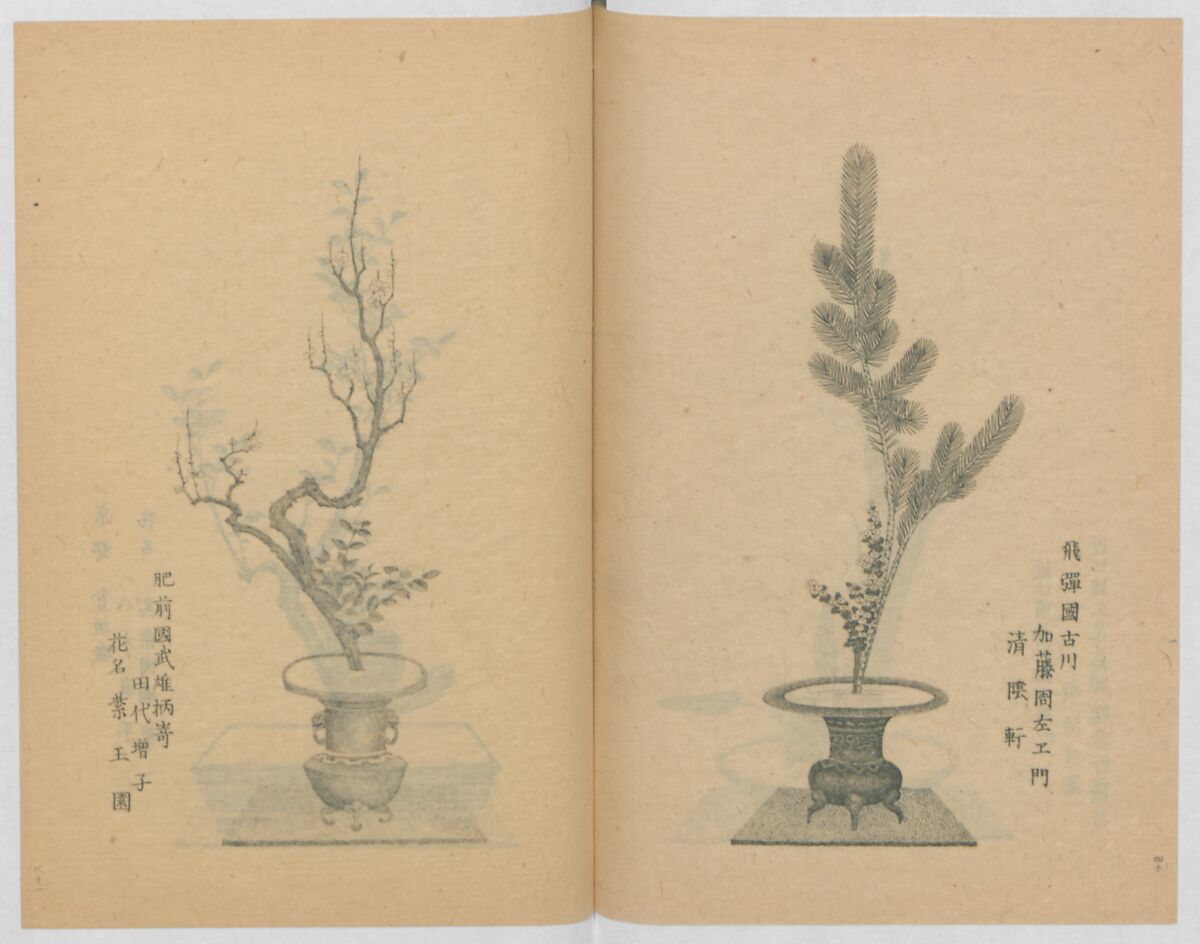 Examples of the Flower Arrangement (Meiji shinsen risshō senkashiki)  明治新撰千花式, Yagi Unkei 八木雲渓, Ink on paper, Japan