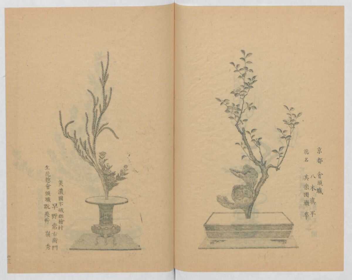 Examples of the Flower Arrangement (Meiji shinsen risshō senkashiki)  明治新撰千花式, Yagi Unkei 八木雲渓, Ink on paper, Japan