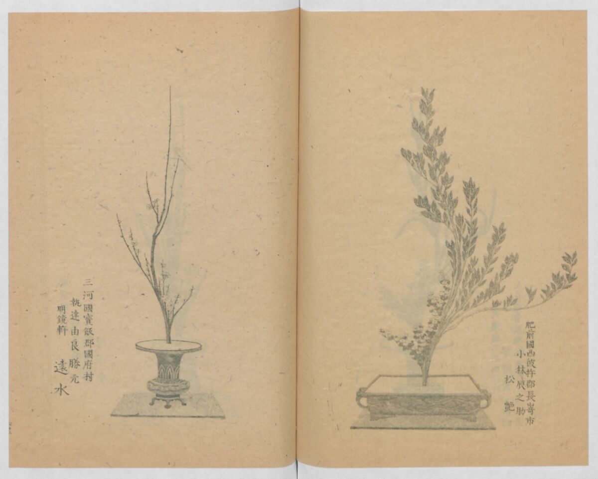 Examples of the Flower Arrangement (Meiji shinsen risshō senkashiki)  明治新撰千花式, Yagi Unkei 八木雲渓, Ink on paper, Japan