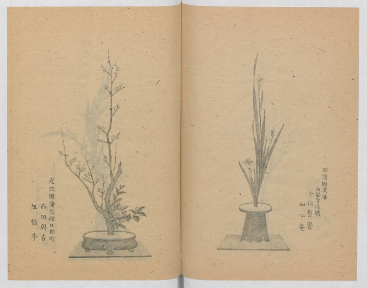 Examples of the Flower Arrangement (Meiji shinsen risshō senkashiki)  明治新撰千花式, Yagi Unkei 八木雲渓, Ink on paper, Japan