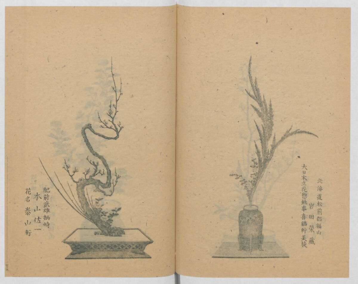 Examples of the Flower Arrangement (Meiji shinsen risshō senkashiki)  明治新撰千花式, Yagi Unkei 八木雲渓, Ink on paper, Japan