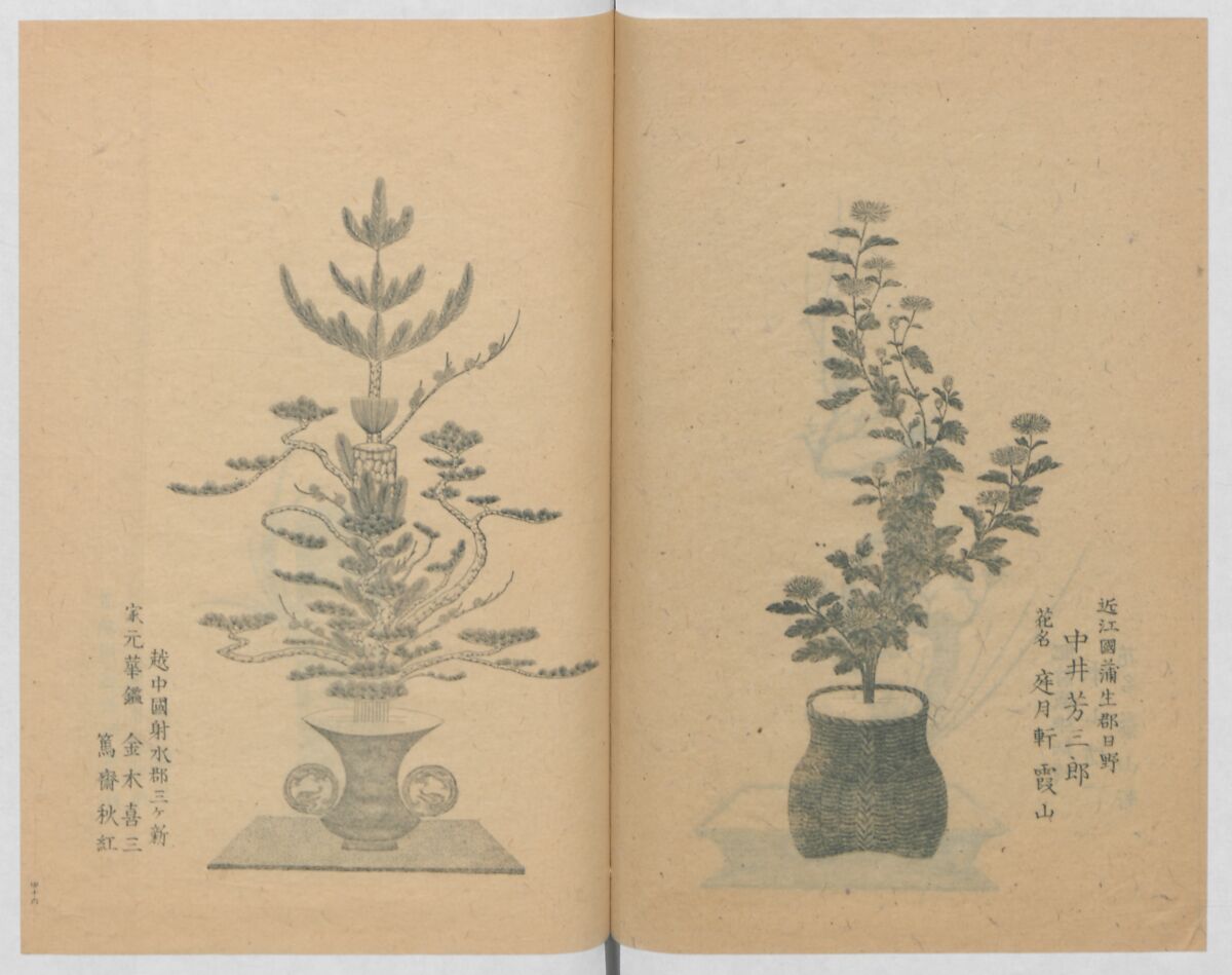 Examples of the Flower Arrangement (Meiji shinsen risshō senkashiki)  明治新撰千花式, Yagi Unkei 八木雲渓, Ink on paper, Japan