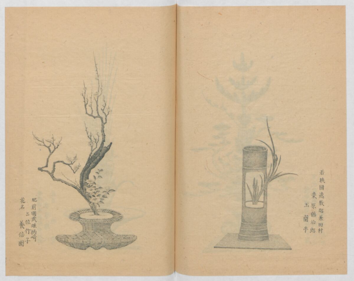 Examples of the Flower Arrangement (Meiji shinsen risshō senkashiki)  明治新撰千花式, Yagi Unkei 八木雲渓, Ink on paper, Japan