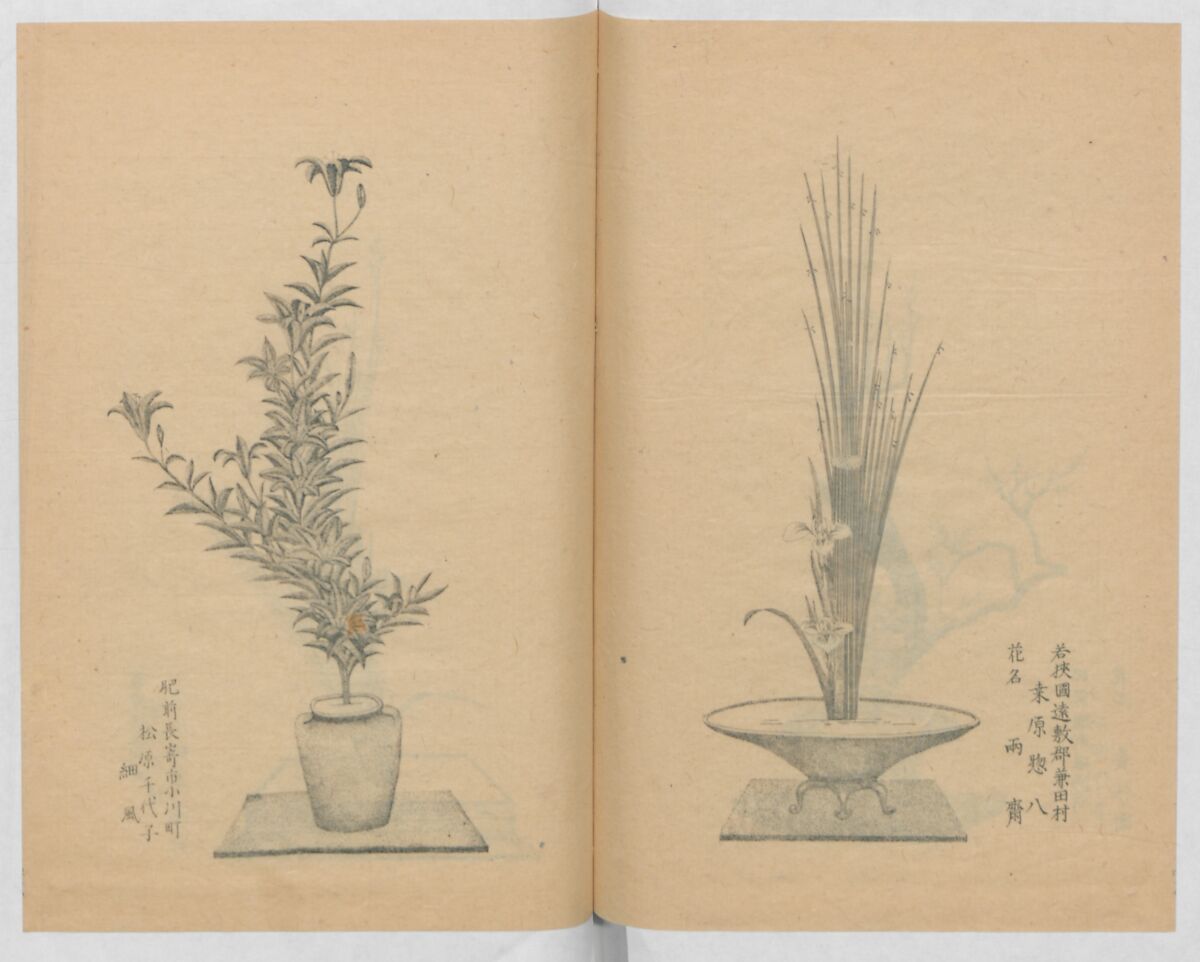 Examples of the Flower Arrangement (Meiji shinsen risshō senkashiki)  明治新撰千花式, Yagi Unkei 八木雲渓, Ink on paper, Japan