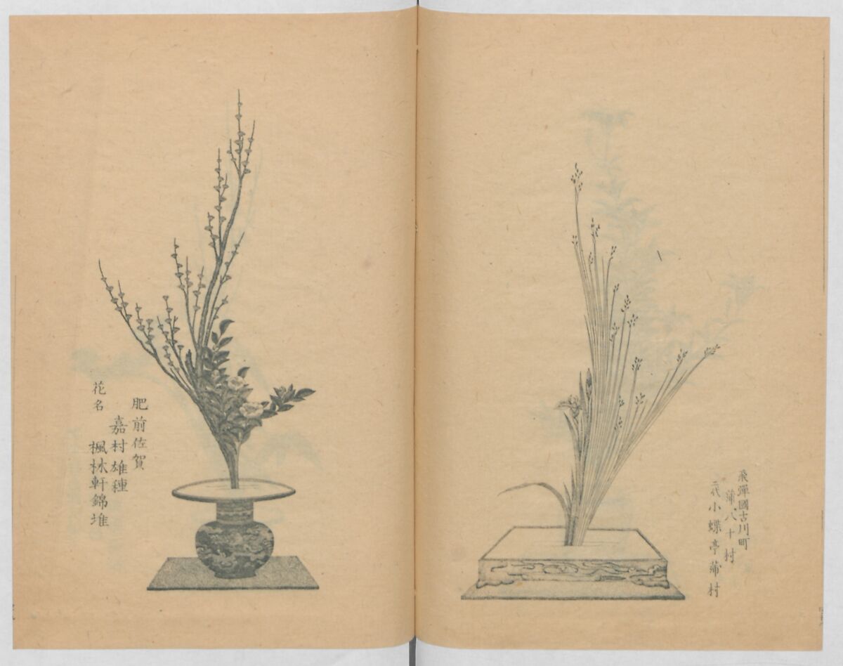 Examples of the Flower Arrangement (Meiji shinsen risshō senkashiki)  明治新撰千花式, Yagi Unkei 八木雲渓, Ink on paper, Japan