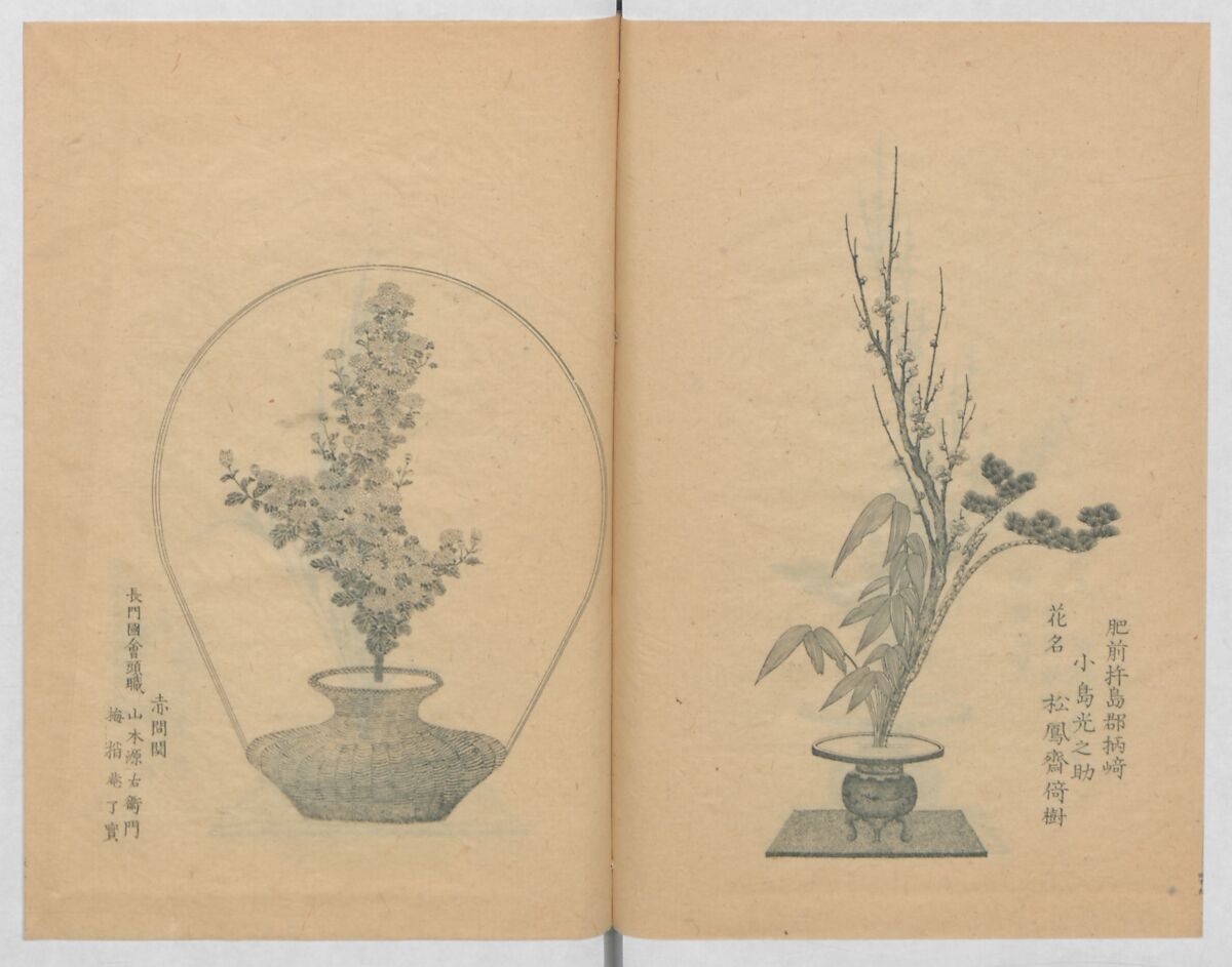 Examples of the Flower Arrangement (Meiji shinsen risshō senkashiki)  明治新撰千花式, Yagi Unkei 八木雲渓, Ink on paper, Japan
