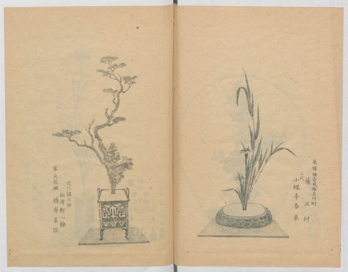 Examples of the Flower Arrangement (Meiji shinsen risshō senkashiki)  明治新撰千花式, Yagi Unkei 八木雲渓, Ink on paper, Japan
