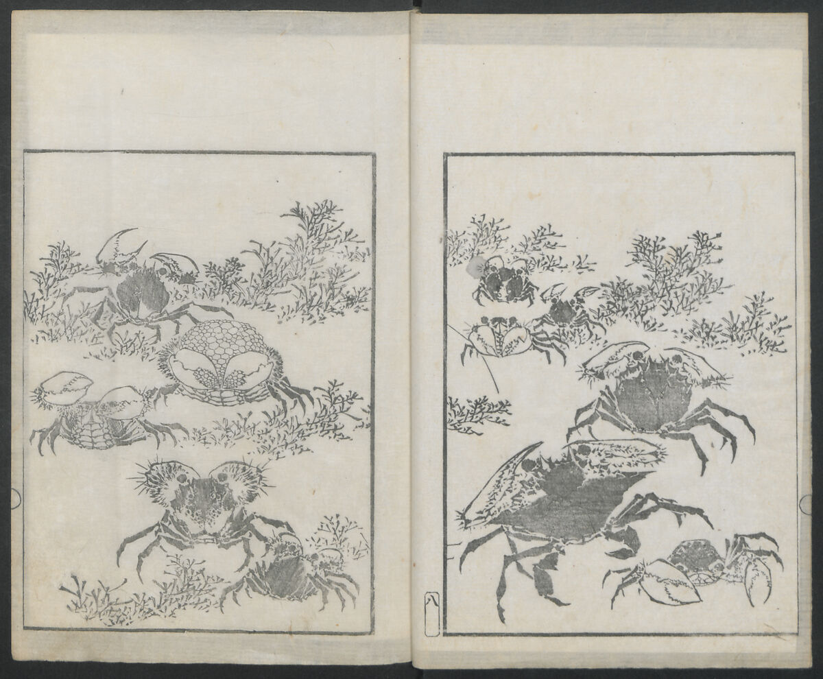 Examples of Hokusai's Drawing (Hokusai gashiki)  北斎画式, Katsushika Hokusai 葛飾北斎 (Japanese, Tokyo (Edo) 1760–1849 Tokyo (Edo)), Ink on paper, Japan