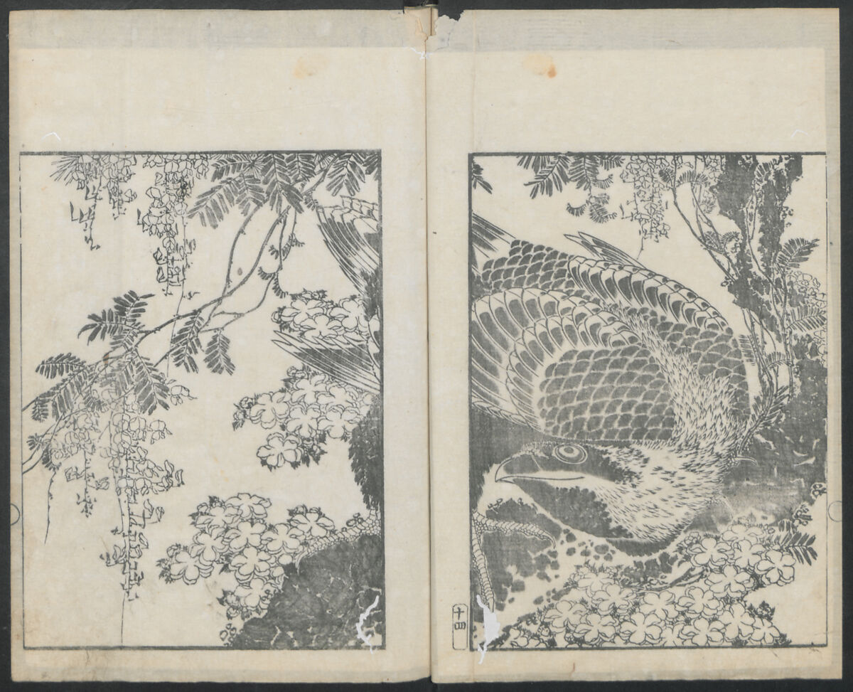 Examples of Hokusai's Drawing (Hokusai gashiki)  北斎画式, Katsushika Hokusai 葛飾北斎 (Japanese, Tokyo (Edo) 1760–1849 Tokyo (Edo)), Ink on paper, Japan