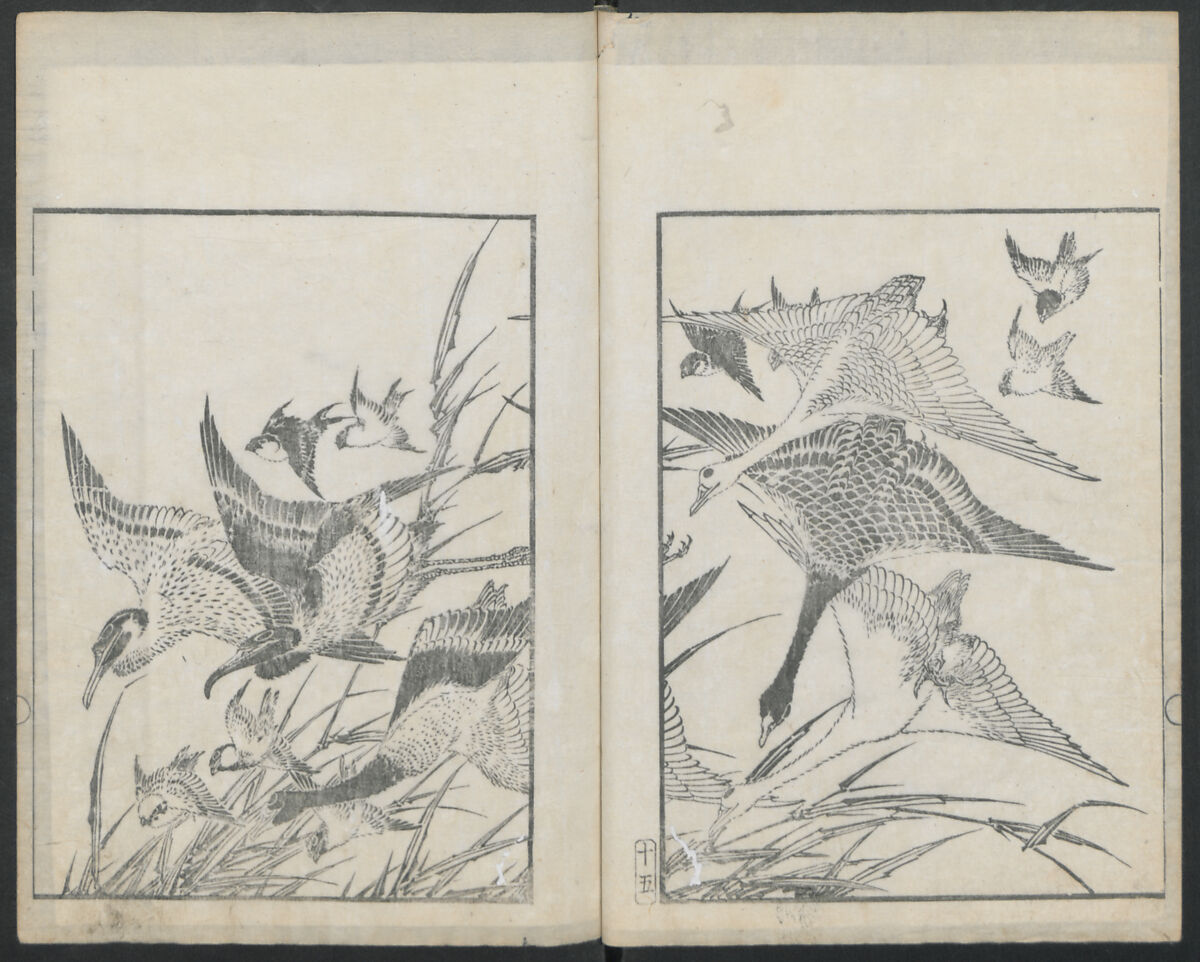 Examples of Hokusai's Drawing (Hokusai gashiki)  北斎画式, Katsushika Hokusai 葛飾北斎 (Japanese, Tokyo (Edo) 1760–1849 Tokyo (Edo)), Ink on paper, Japan