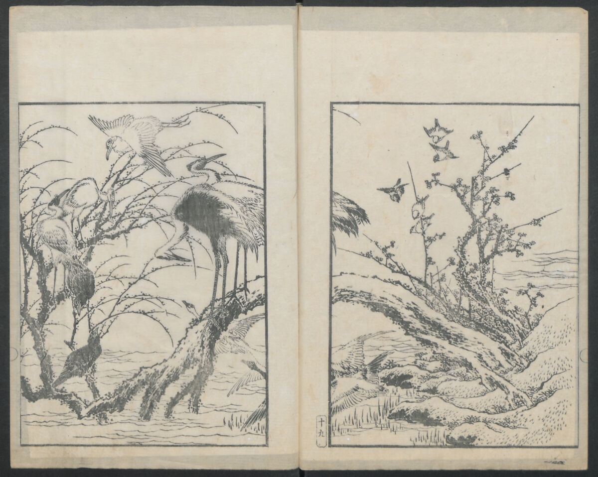 Examples of Hokusai's Drawing (Hokusai gashiki)  北斎画式, Katsushika Hokusai 葛飾北斎 (Japanese, Tokyo (Edo) 1760–1849 Tokyo (Edo)), Ink on paper, Japan