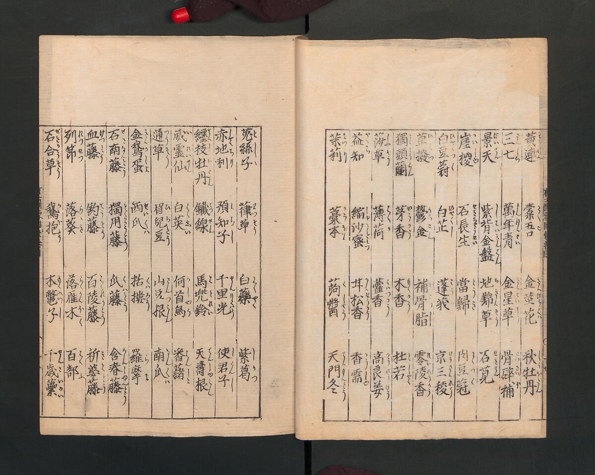 Illustrated Encyclopedia of China (Morokoshi kinmō zui) 唐土訓蒙図彙, Tachibana Morikuni 橘守国 (Japanese, 1679–1748), Set of two woodblock printed books; ink on paper, Japan