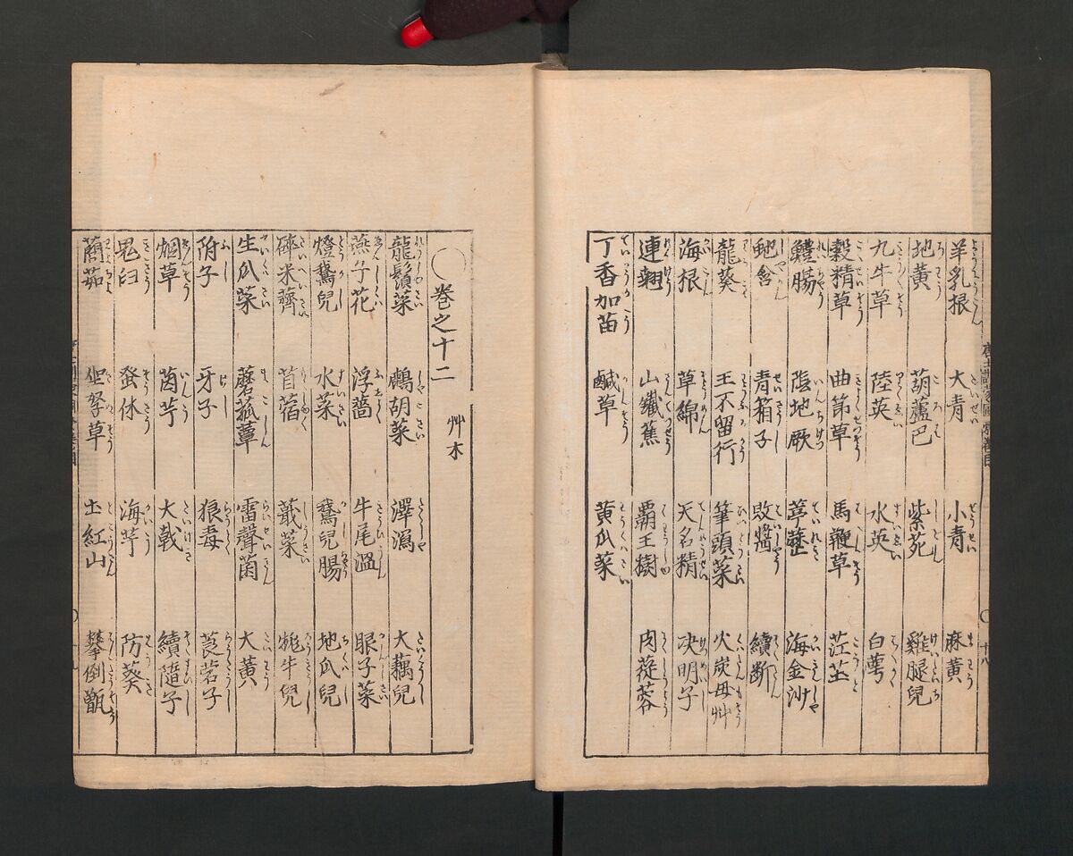 Illustrated Encyclopedia of China (Morokoshi kinmō zui) 唐土訓蒙図彙, Tachibana Morikuni 橘守国 (Japanese, 1679–1748), Set of two woodblock printed books; ink on paper, Japan