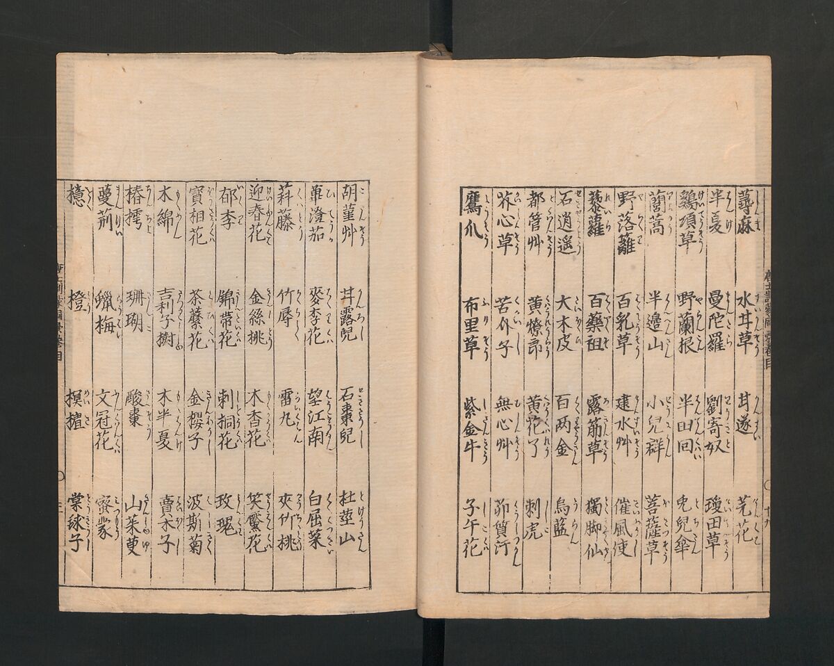 Illustrated Encyclopedia of China (Morokoshi kinmō zui) 唐土訓蒙図彙, Tachibana Morikuni 橘守国 (Japanese, 1679–1748), Set of two woodblock printed books; ink on paper, Japan