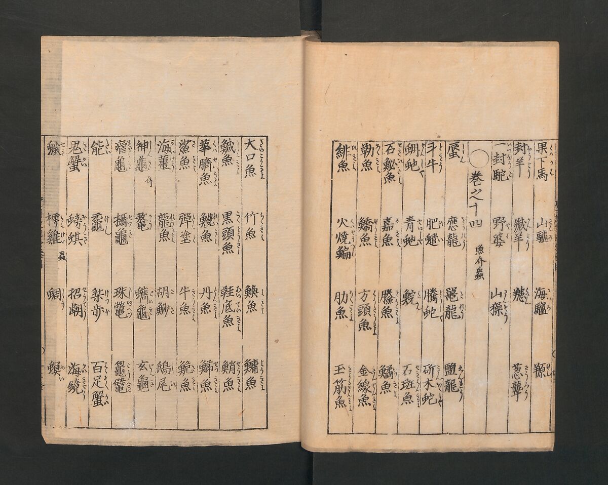 Illustrated Encyclopedia of China (Morokoshi kinmō zui) 唐土訓蒙図彙, Tachibana Morikuni 橘守国 (Japanese, 1679–1748), Set of two woodblock printed books; ink on paper, Japan