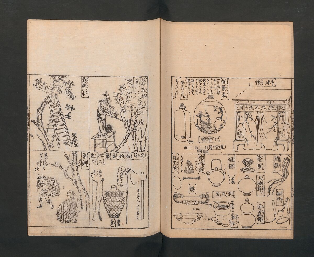 Illustrated Encyclopedia of China (Morokoshi kinmō zui) 唐土訓蒙図彙, Tachibana Morikuni 橘守国 (Japanese, 1679–1748), Set of two woodblock printed books; ink on paper, Japan