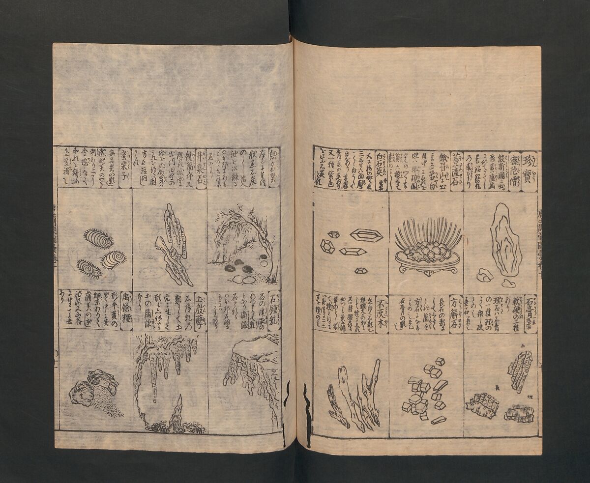 Illustrated Encyclopedia of China (Morokoshi kinmō zui) 唐土訓蒙図彙, Tachibana Morikuni 橘守国 (Japanese, 1679–1748), Set of two woodblock printed books; ink on paper, Japan
